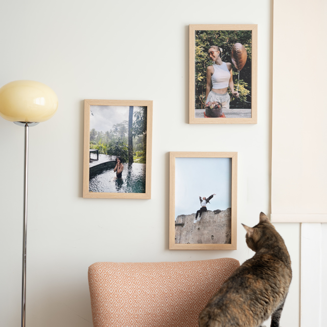 20x30 Sticky Frame - 3 Pieces