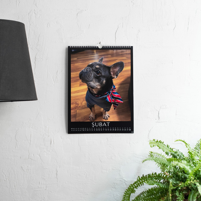 Big Wall Calendar - 2026