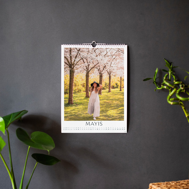 Big Wall Calendar - 2026